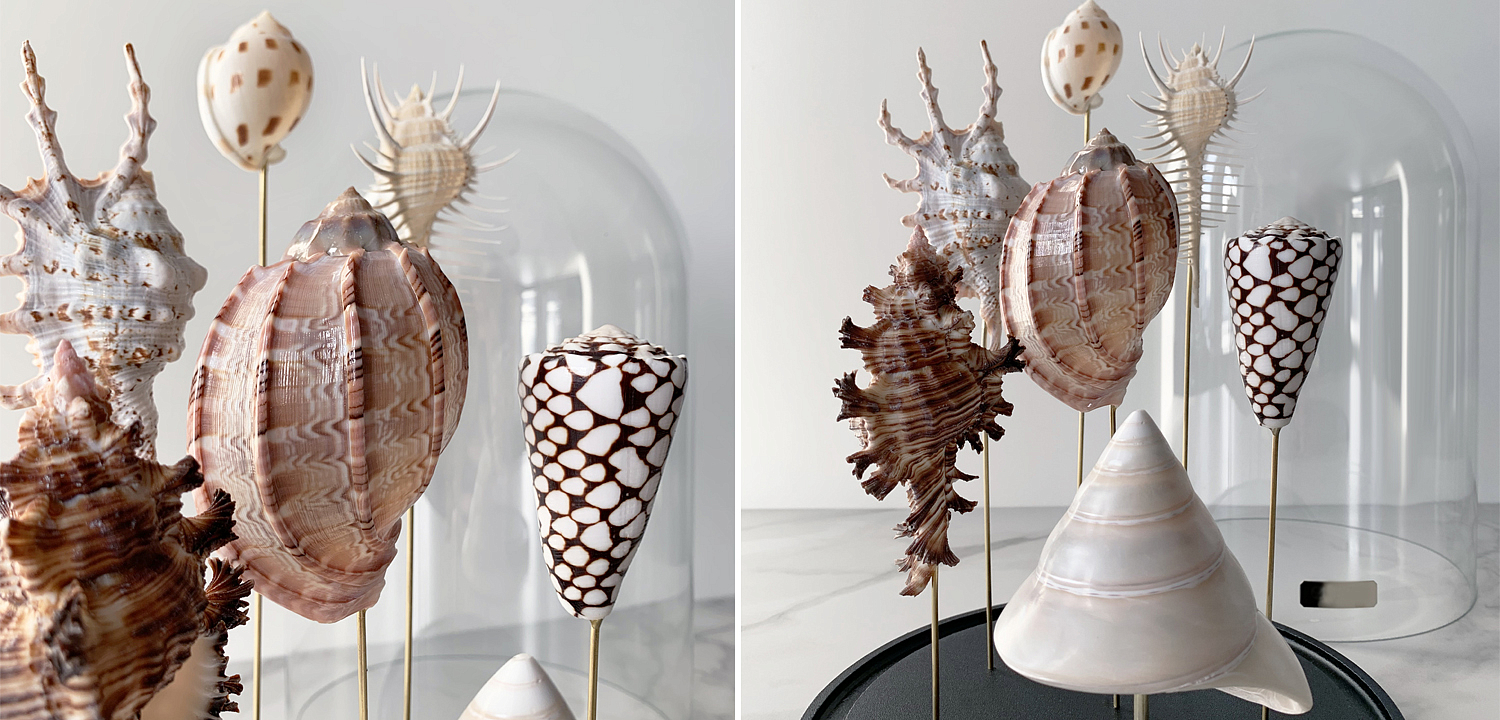 Статуэтка Shell Collection Glass Cloche 2 Статуэтка Shell Collection Glass Cloche 2 - Loft-Concept в Твери