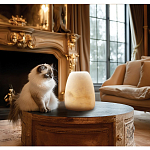 Настольная лампа в форме трапеции из натурального камня Soft Glow of Stone варинант исполнения - 5 | Loft Concept в Твери