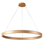 Люстра подвесная светодионая кольцевая золотого цвета Ring Horizontal варинант исполнения - 1 | Loft Concept в Твери