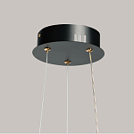 Люстра с прозрачным волнистым плафоном в форме цветка Ethereal Bloom варинант исполнения - 11 | Loft Concept в Твери