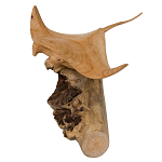 Статуэтка из дерева скат Animals of the World варинант исполнения - 2 | Loft Concept в Твери