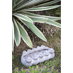 Кашпо Canaries варинант исполнения - 3 | Loft Concept в Твери