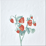 Плитка с узором Земляника варинант исполнения - 2 | Loft Concept в Твери