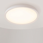 Потолочный светильник Incognito 2700-4000К 46Вт варинант исполнения - 4 | Loft Concept в Твери