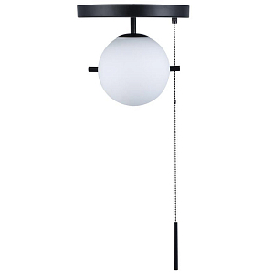 Потолочный светильник Alston black