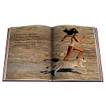 Лимитированная подарочная большая книга CARTIER Panthère варинант исполнения - 12 | Loft Concept в Твери