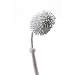 Статуэтка тропический фрукт Pandora Tropical Fruit Tall White варинант исполнения - 1 | Loft Concept в Твери