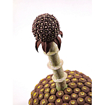 Статуэтка тропический фрукт Pandora Tropical Fruit Brown варинант исполнения - 1 | Loft Concept в Твери