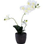 Декоративный искусственное растение Angel Orchid варинант исполнения - 1 | Loft Concept в Твери