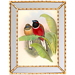 Постер с изображением птиц и цветов в зеркальной раме Blooming Birds Poster варинант исполнения - 6 | Loft Concept в Твери