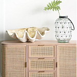 Блюдо декоративное в виде ракушки Seashell варинант исполнения - 1 | Loft Concept в Твери