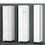Шкаф-пенал белый с зеркальной дверцей Strict Lines варинант исполнения - 5 | Loft Concept в Твери