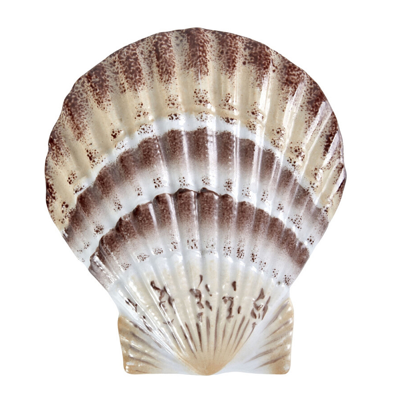 Фигурка из фарфора в виде ракушки морского гребешка Marine Tridacna Белый Бежевый Коричневый в Твери | Loft Concept 
