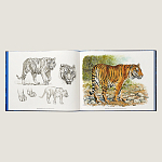 Лимитированная подарочная книга HERMES Fierce and Fragile book, English version варинант исполнения - 2 | Loft Concept в Твери