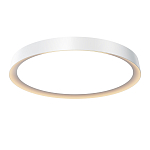 Потолочный светильник Incognito 2700-4000К 46Вт варинант исполнения - 1 | Loft Concept в Твери