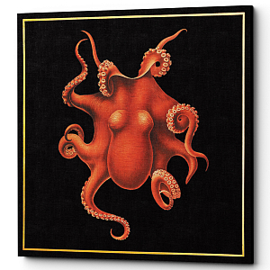 Постер Octopus Poster