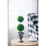 Декоративный искусственное растение Double boxwood варинант исполнения - 5 | Loft Concept в Твери