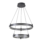 Люстра светодиодная с 2-мя плафонами в форме колец из акрила и алюминия с пультом для регулировки света Ring Horizontal Black варинант исполнения - 4 | Loft Concept в Твери