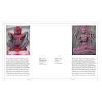 Книга Tantra: Enlightenment to Revolution варинант исполнения - 4 | Loft Concept в Твери