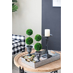 Декоративный искусственное растение Double boxwood варинант исполнения - 8 | Loft Concept в Твери