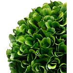 Декоративный искусственное растение Single boxwood варинант исполнения - 2 | Loft Concept в Твери