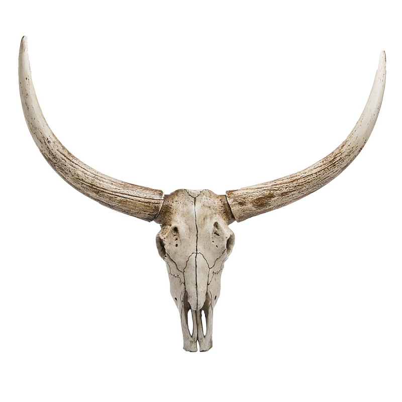 Череп быка Bull Skull Бежево-серый Череп быка Bull Skull Бежево-серый в Твери | Loft Concept
