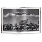 Книга Beusker. Look into my Eyes варинант исполнения - 2 | Loft Concept в Твери