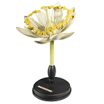 Статуэтка Tilia варинант исполнения - 3 | Loft Concept в Твери