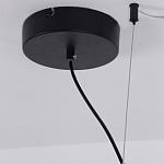 Люстра подвесная светодиодная черный металл Ring Horizontal варинант исполнения - 13 | Loft Concept в Твери