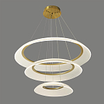 Люстра подвесная с 3-мя кольцевыми светодиодными лампами Catcher варинант исполнения - 1 | Loft Concept в Твери