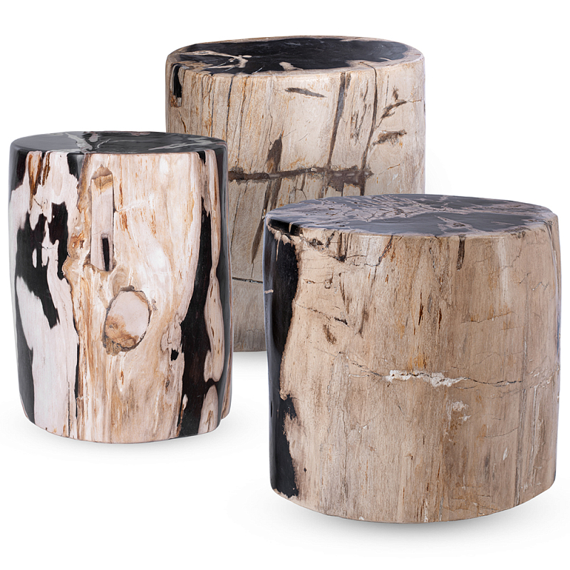 Пенек из окаменелого дерева black and white Бежевый Черный в Твери | Loft Concept 