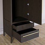 Узкий Шкаф Primo с 2 выдвижными ящиками Темный орех варинант исполнения - 5 | Loft Concept в Твери