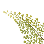 Декоративный искусственное растение Dried flower варинант исполнения - 3 | Loft Concept в Твери