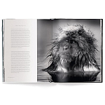 Книга Beusker. Look into my Eyes варинант исполнения - 3 | Loft Concept в Твери