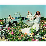 Редкое коллекционное издание Tim Walker Pictures 2016 варинант исполнения - 3 | Loft Concept в Твери