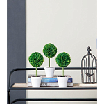 Декоративный искусственное растение Boxwood One варинант исполнения - 9 | Loft Concept в Твери