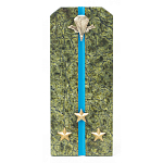 Сувенир Погон Старший Лейтенант ВДВ из натурального камня змеевик Souvenir Epaulets варинант исполнения - 1 | Loft Concept в Твери