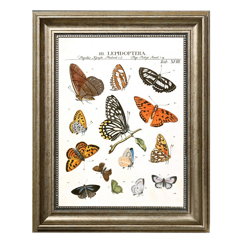 Постер Little Butterflies Постер Little Butterflies в Твери | Loft Concept
