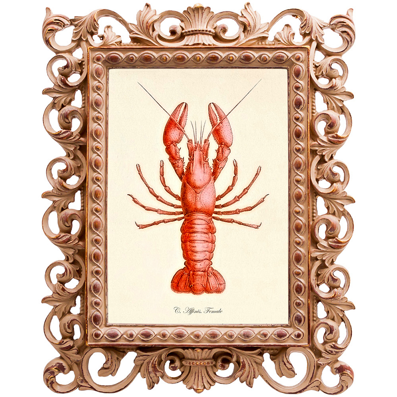 Постер Red Lobster Бежевый Красный Постер Red Lobster Бежевый Красный в Твери | Loft Concept
