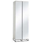 Двухдверный шкаф с зеркальными дверцами Strict Lines варинант исполнения - 5 | Loft Concept в Твери