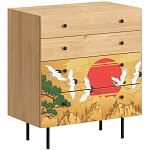 Комод с принтом на ящиках Elise Chest of Drawers варинант исполнения - 4 | Loft Concept в Твери