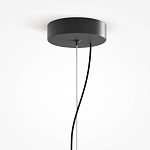 Подвесной светильник Rare grapes варинант исполнения - 4 | Loft Concept в Твери