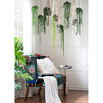 Диван Mesotrope варинант исполнения - 7 | Loft Concept в Твери