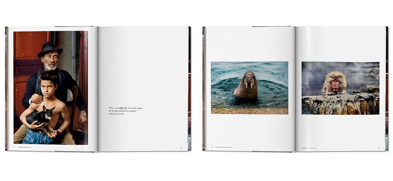 Steve McCurry. Animals - Loft-Concept в Твери