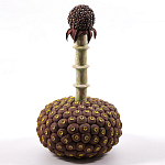 Статуэтка тропический фрукт Pandora Tropical Fruit Brown варинант исполнения - 2 | Loft Concept в Твери