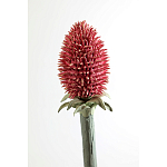 Статуэтка тропический фрукт Pandora Tropical Fruit Orange Red Round варинант исполнения - 3 | Loft Concept в Твери