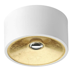 Спот Gold Diffuse Белый 20