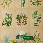 Обои ручная роспись Botanical Studies Linnaeus colourway варинант исполнения - 3 | Loft Concept в Твери