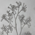 Панно Лесной цветок варинант исполнения - 4 | Loft Concept в Твери