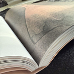 Лимитированное издание Иллюстрации модного дома Book: Dior par Mats Gustafson Vol. II Maria Grazia Chiuri варинант исполнения - 3 | Loft Concept в Твери